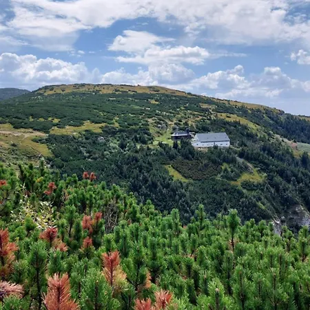 Pensiunea Montan-3