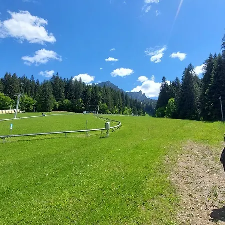 Pensiunea Montan-2